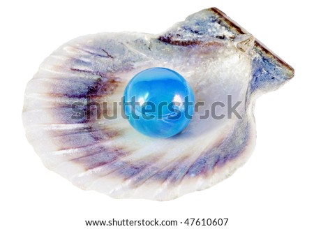 blue pearl and shell isolated on white background