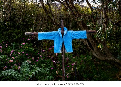 Blue Peter Rabbit Jacket On Scarecrow In Garden