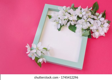 Blue photo frame, decorated with flowers of an apple tree, on a pink background. Wooden frame for text, flat lay