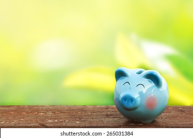 Blue Piggy Bank On Wooden Table Over Blurred Garden Bokeh Background. Saving, Money Concept.