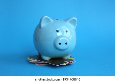 blue piggy bank pig stands on plastic cards on blue background