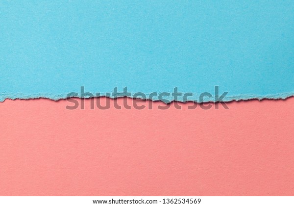 Blue and\
pink paper background divided horizontally in half. Concept two\
halves of man and woman. Copy space for\
text