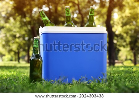 Blue plastic cool box with bottles of beer in park