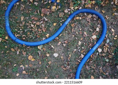 Blue Plastic Hose On Green Grass