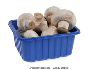 Blue plastic punnet of button mushrooms close-up isolated on white background