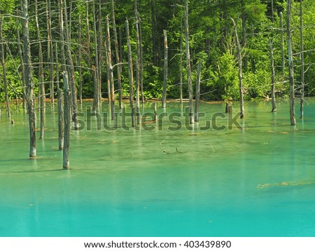 Blue pond Hokkaido