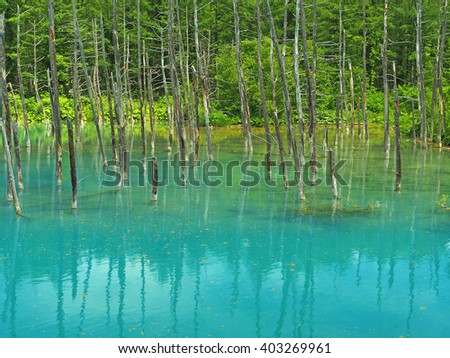 Blue pond Hokkaido (Aoiike)
