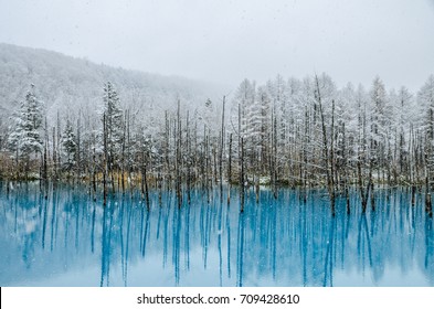Blue Pond is a man-made water feature in Biei, Hokkaido, Japan. It is one of the world most beautiful pond and offer different view for each season. The pond opened at 2010 and become tourism hotspot.