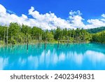 Blue Pond in Shirokane, Biei-cho, Hokkaido (summer season)