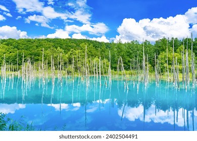 Blue Pond in Shirokane, Biei-cho, Hokkaido (summer season)