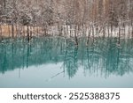 Blue Pond with Snow in Biei Town
