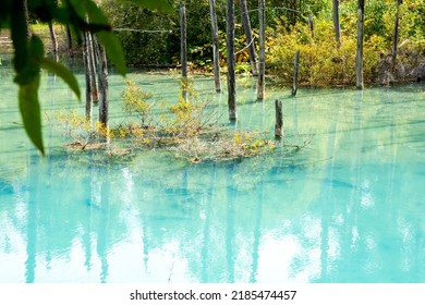 Blue Pond In Summer With Lake Bottom Visible
