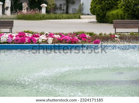 blue pool and pink primrose in the park