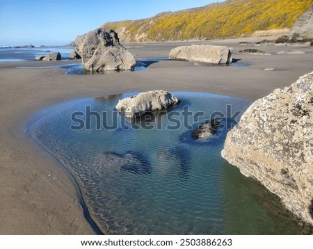 Blue pools are left over after the tide goes out at whiskey run Beach on the oregon coast