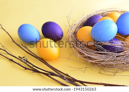 blue purple yellow easter eggs in thehand made nest on the yellow background