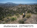 Blue Range Primitive Wilderness Area, Arizona New Mexico Landscape