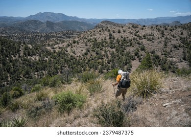 Blue Range Primitive Wilderness Area, Arizona New Mexico Landscape