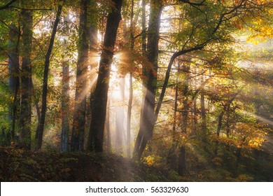 Blue Ridge Parkway North Carolina sun bursting through fog and trees with fall foliage landscape scene