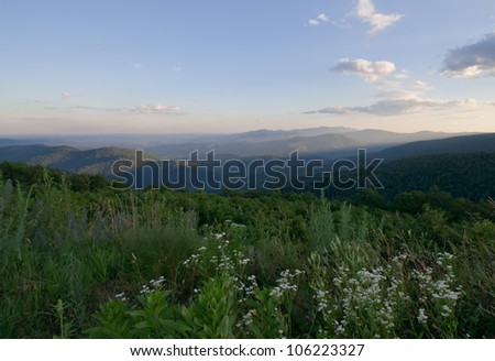 Blue Ridge view from Skyline Drive, Shenandoah National Park, Virginia