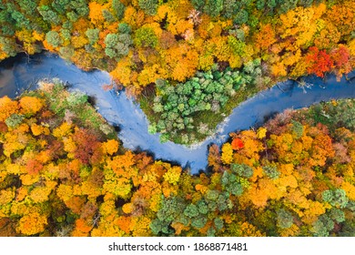 Blue River And Colorful Autumn Forest, Aerial View Of Poland, Europe