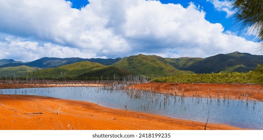 Blue River Provincial Park (Parc Provincial de la Rivière Bleue), New Caledonia