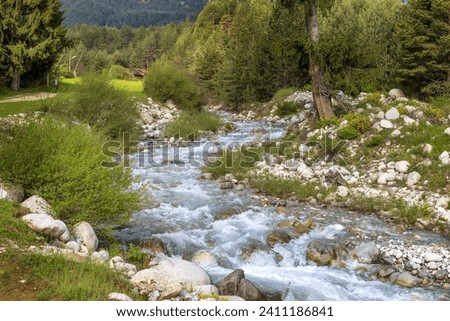 Blue river spring landscape, Bansko, Bulgaria