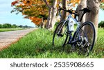 A blue road bicycle is parked, leaned on a tree at a beautiful road in green, orange and golden autumn park. Outdoor healthy active lifestyle. The bike is a road bike, and it is ready for a ride.