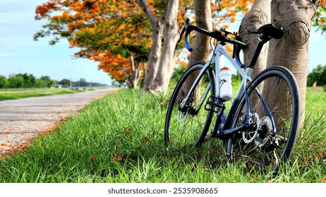 A blue road bicycle is parked, leaned on a tree at a beautiful road in green, orange and golden autumn park. Outdoor healthy active lifestyle. The bike is a road bike, and it is ready for a ride. - Powered by Shutterstock