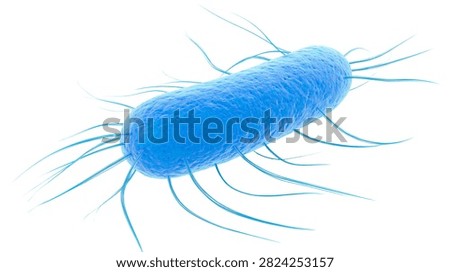 Blue rod shaped bacterium with multiple flagella appendages
