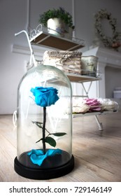 Blue Rose In A Glass Dome