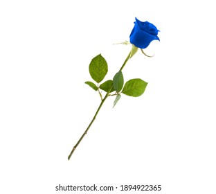 青いバラ の写真素材 画像 写真 Shutterstock
