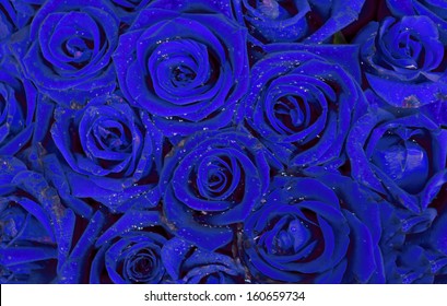 青いバラ の写真素材 画像 写真 Shutterstock