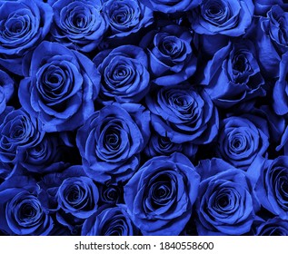 340,510 Blue petal wallpaper Images, Stock Photos & Vectors | Shutterstock