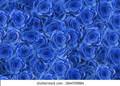blue roses  neon isolated on a black background. I love you.