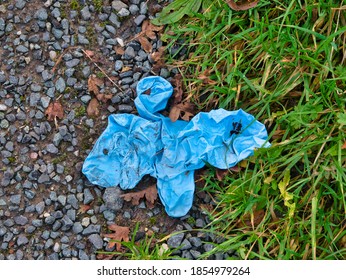 Blue Rubber Nitrile Gloves Used For COVID-19 PPE Protection, Discarded As Litter By The Side Of A Road On A Country Lane.