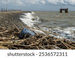 a blue rubber shoe was washed up on the shore of the Jade Bay with reed stalks as flotsam - in the background is a part of the residues of the old ferry dock in Eckwarderhörne (Germany) at high tide