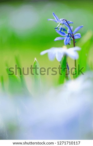 Similar – Image, Stock Photo shining blue Exterior shot