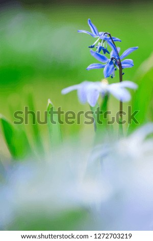 Similar – Image, Stock Photo shining blue Exterior shot