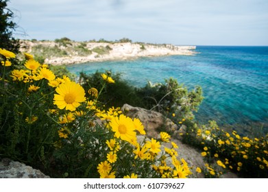  Blue Sea. Cyprus. Cape Greco National Forest Park  