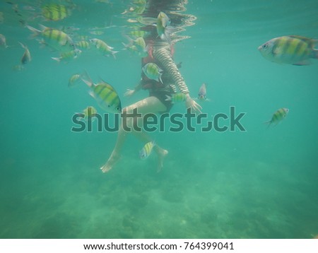 Blue sea with fish herd and women leg
