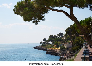 Blue Sea Of The French Riviera Coast With Maritime Pine In Summer, Cap Martin