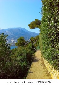 Blue Sea Of The French Riviera Coast With Maritime Pine In Summer, Cap Martin