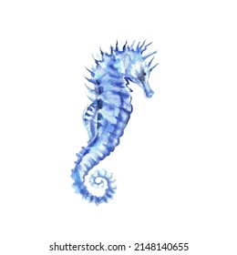 Blue sea horse. Marine animal. Underwater object isolated on white background. Hand drawn watercolour illustration. Clip art. Can be used for posters,  textile and ceramic souvenirs, stickers, cards - Shutterstock ID 2148140655