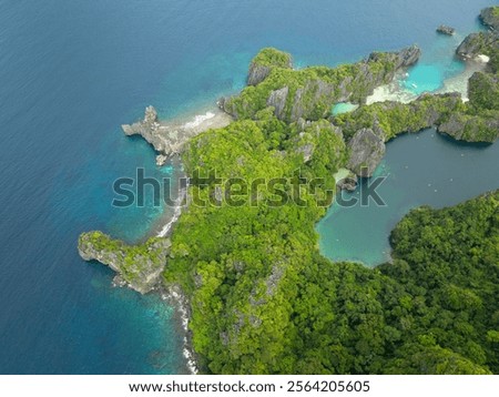 Similar – Image, Stock Photo Miniloc Island with limestone cliffs. Aerial drone panoramic picture. Bacuit Archipelago, El Nido, Palawan, Philippines