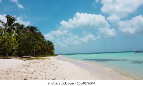 Blue sea and white sand palm trees on a Caribbean beach