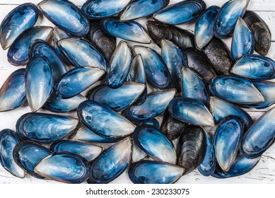 Blue Seashell Mussels Top View Background.