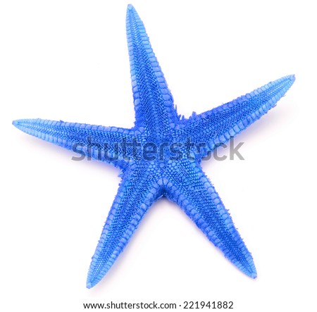 Blue seastar, isolated on white background.