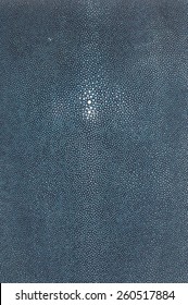 Blue Shagreen