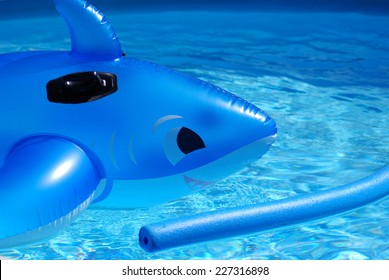 Blue Shark In Swimming Pool