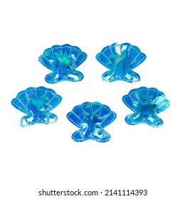 Blue Shell Toys For Pet Dog And Cat 